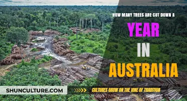 Annual Tree Loss in Australia: Shocking Deforestation Rates Revealed