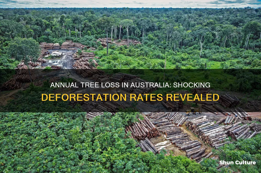 how many trees are cut down a year in australia