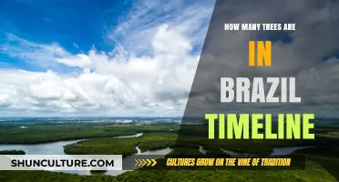 Brazil's Forest Evolution: A Timeline of Tree Population Changes