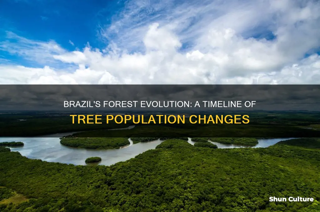 how many trees are in brazil timeline