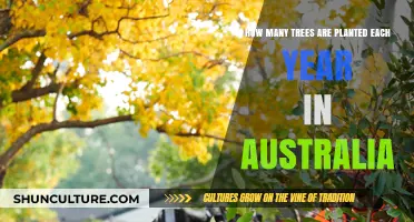 Australia's Annual Tree Planting Efforts: A Greener Future Unveiled