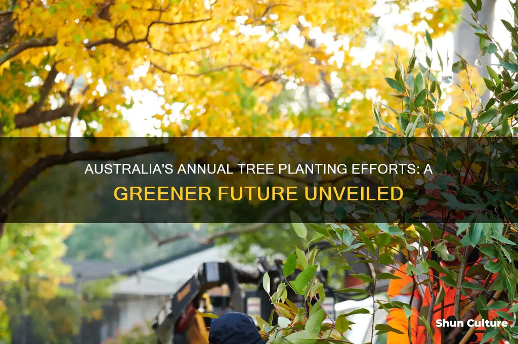 how many trees are planted each year in australia