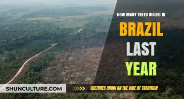 Brazil's Deforestation Crisis: Tree Loss in 2022 Revealed