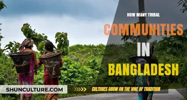 Exploring Bangladesh's Rich Tribal Diversity: Communities and Their Unique Cultures