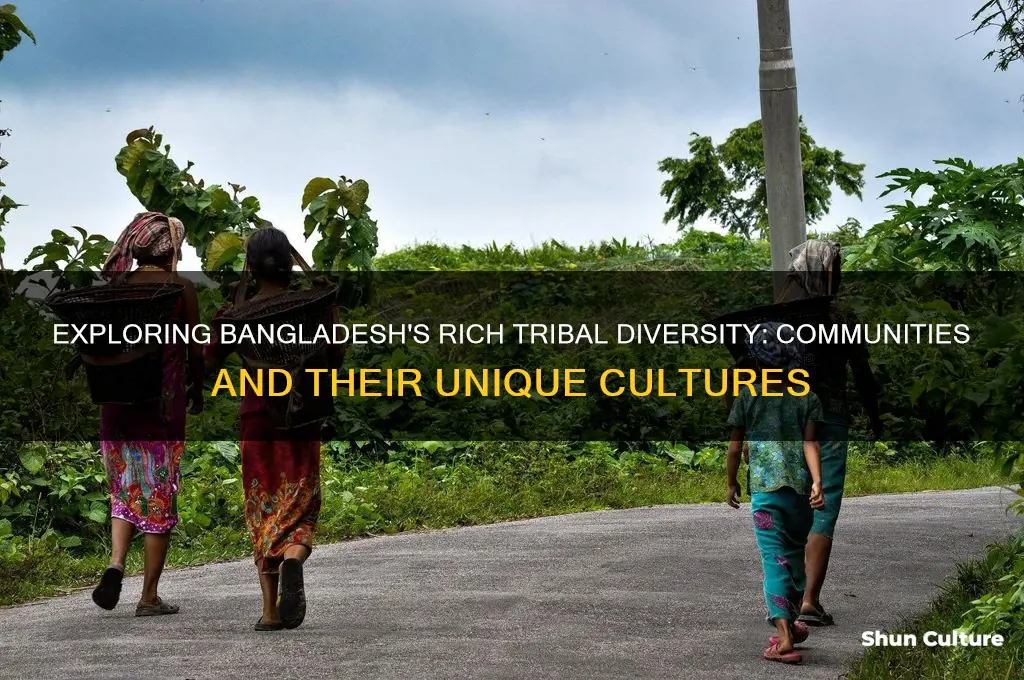 how many tribal communities in bangladesh