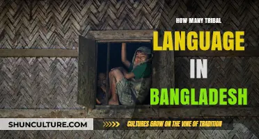 Exploring the Rich Diversity of Tribal Languages in Bangladesh