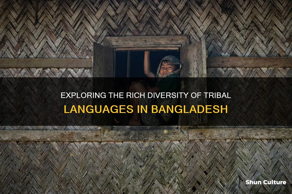how many tribal language in bangladesh