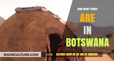 Exploring Botswana's Rich Cultural Diversity: The Number of Tribes Revealed