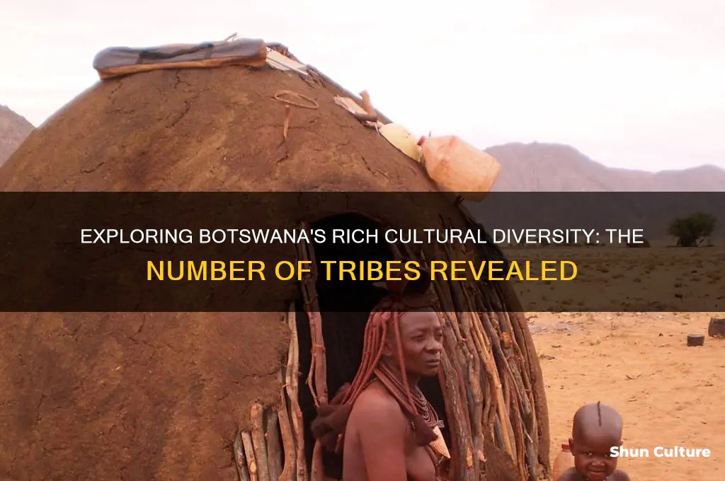 how many tribes are in botswana