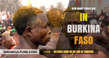 Exploring Burkina Faso's Rich Tribal Diversity: A Comprehensive Guide