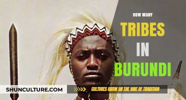 Exploring Burundi's Rich Cultural Tapestry: A Guide to Its Tribes