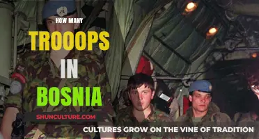 Bosnia's Military Presence: Understanding Troop Numbers and Deployment