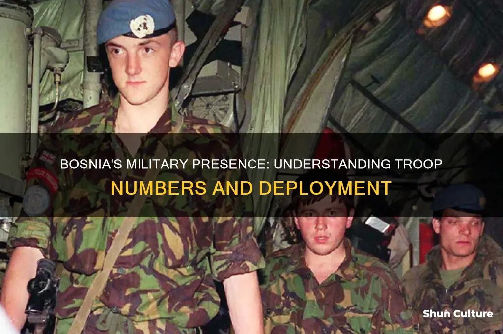 how many trooops in bosnia