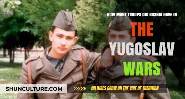 Bosnia's Military Strength: Troop Numbers in the Yugoslav Wars