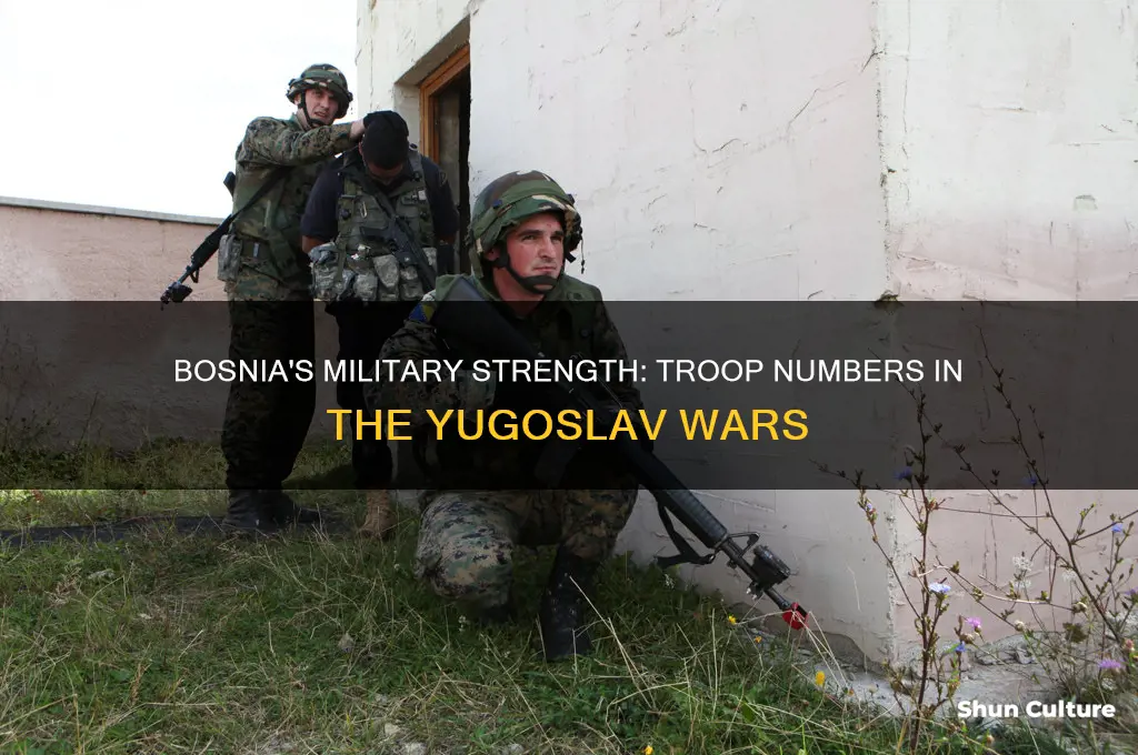 how many troops did bosnia have in the yugoslav wars