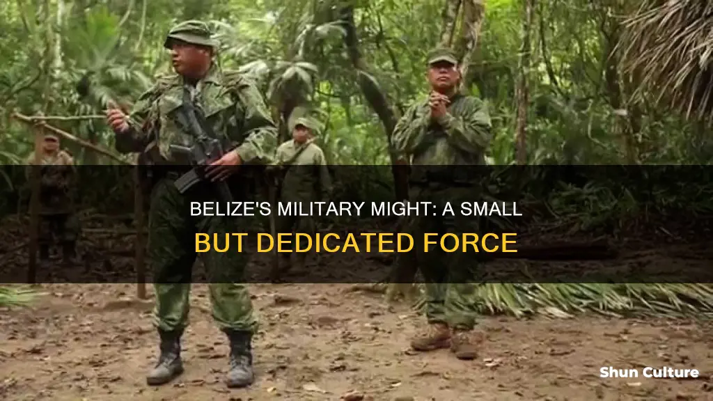 how many troops does belize have