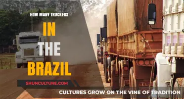 Brazil's Trucking Workforce: Unveiling the Number of Truckers on the Road