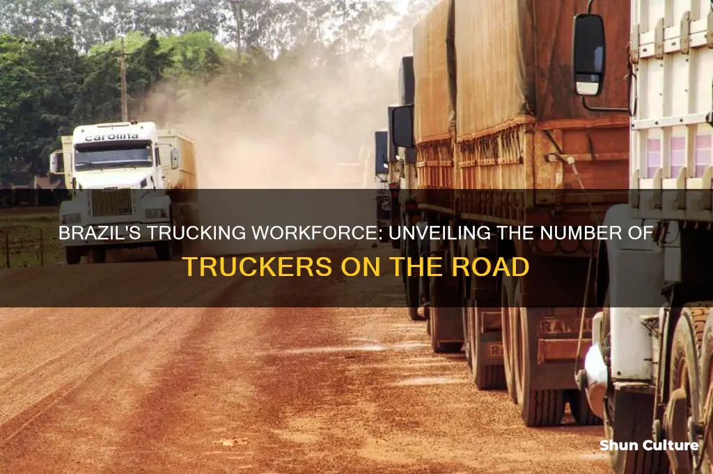 how many truckers in the brazil