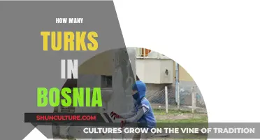 Exploring the Turkish Population in Bosnia: History, Culture, and Numbers