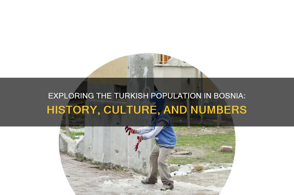 how many turks in bosnia