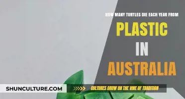 Australia's Plastic Crisis: Annual Turtle Deaths and Urgent Solutions