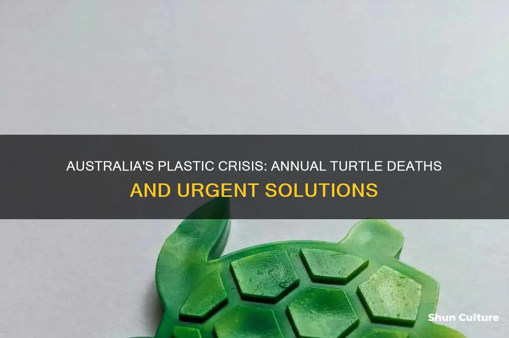 how many turtles die each year from plastic in australia