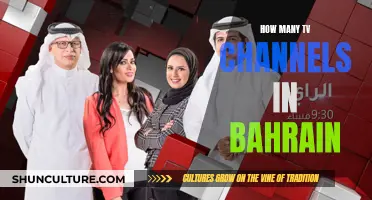 TV Channels in Bahrain: Exploring the Country's Entertainment Options