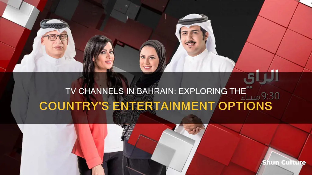 how many tv channels in bahrain