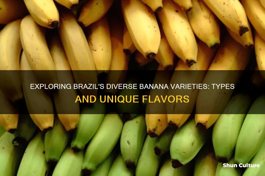 how many types of bananas are there in brazil