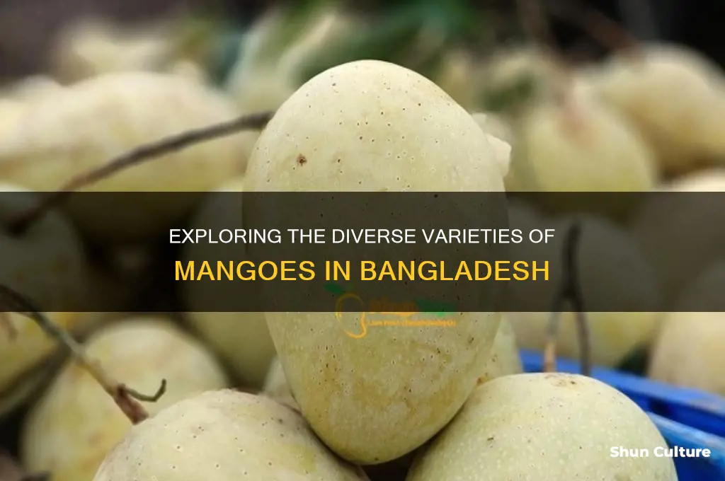 how many types of mangoes are there in bangladesh