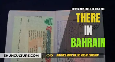 Exploring Bahrain: Visa Options and Categories