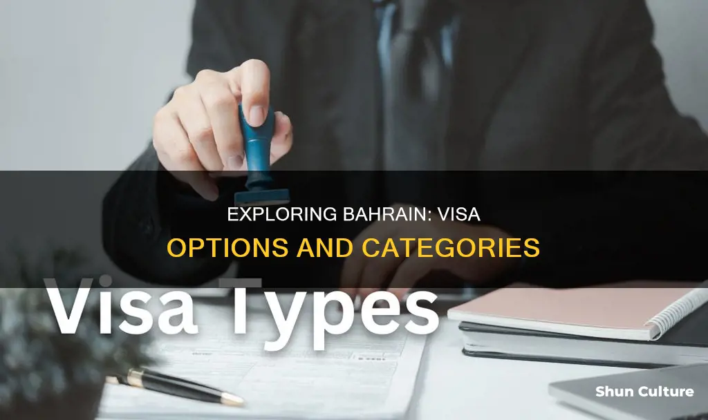 how many types of visa are there in bahrain