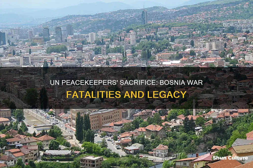 how many un soldiers died in bosnia