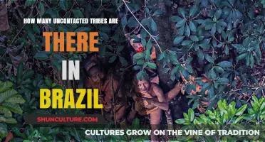Uncontacted Tribes in Brazil: Exploring the Mystery and Count