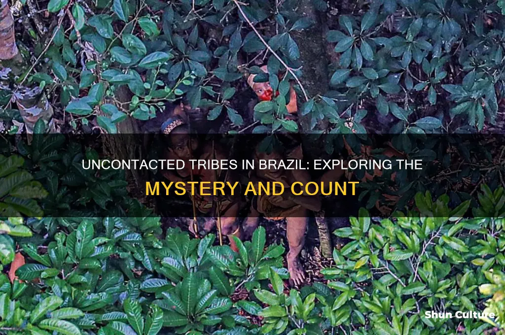 how many uncontacted tribes are there in brazil