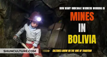 Underage Labor in Bolivian Mines: A Dark Reality