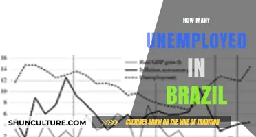 Unemployment Crisis in Brazil: Analyzing the Rising Jobless Numbers