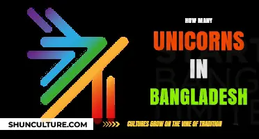 Unveiling Bangladesh's Unicorn Landscape: A Deep Dive into Startup Success