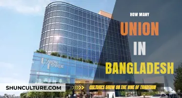 Exploring the Diverse Union Structure in Bangladesh: A Comprehensive Overview