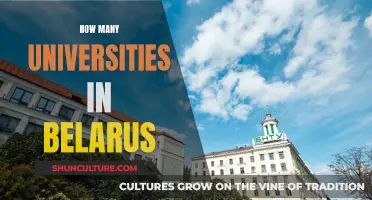 Belarusian Universities: A Comprehensive Overview of Numbers