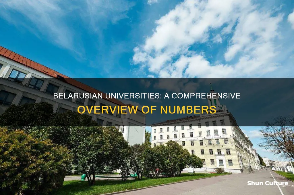 how many universities in belarus