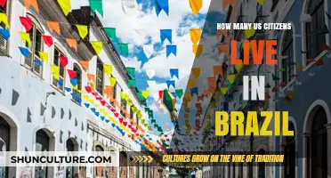 Exploring the American Expat Community: US Citizens Living in Brazil