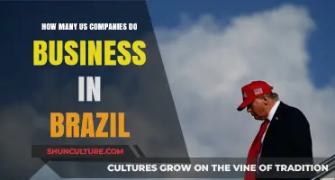 Exploring US-Brazil Trade: How Many American Companies Operate in Brazil?