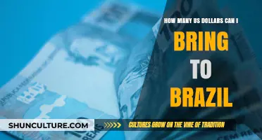 Traveling to Brazil: USD Cash Limits and Customs Regulations Explained
