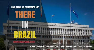 Exploring the Presence: US Embassies and Consulates in Brazil