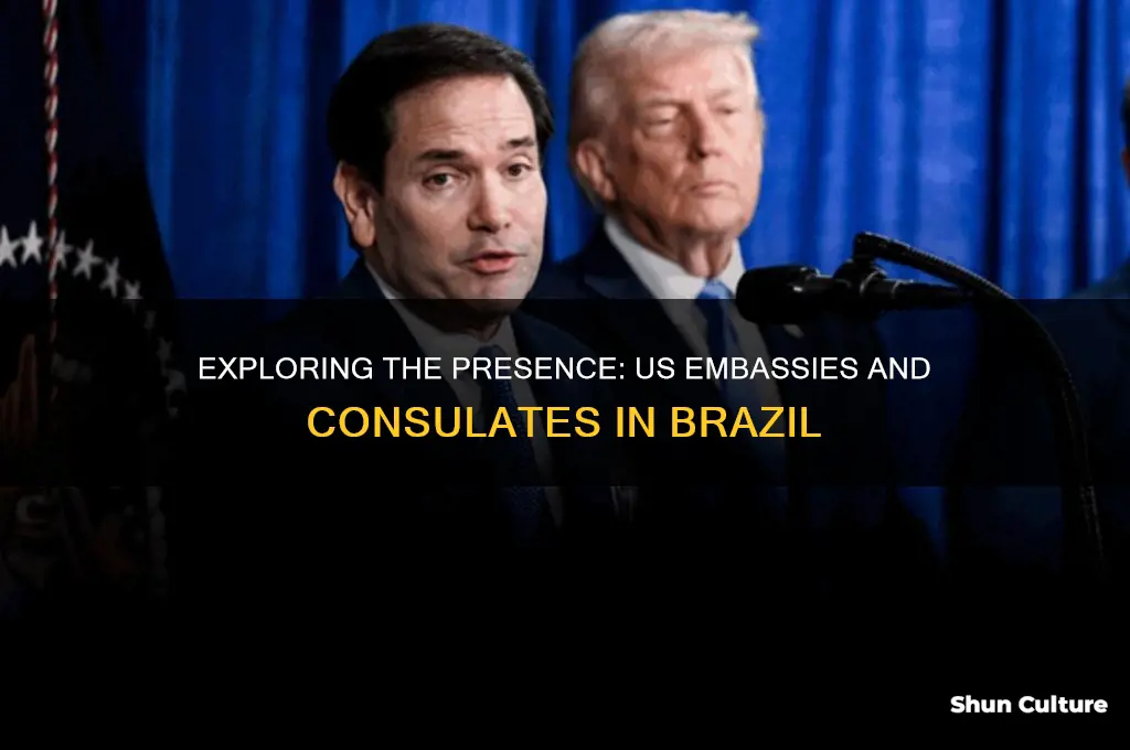 how many us embassies are there in brazil