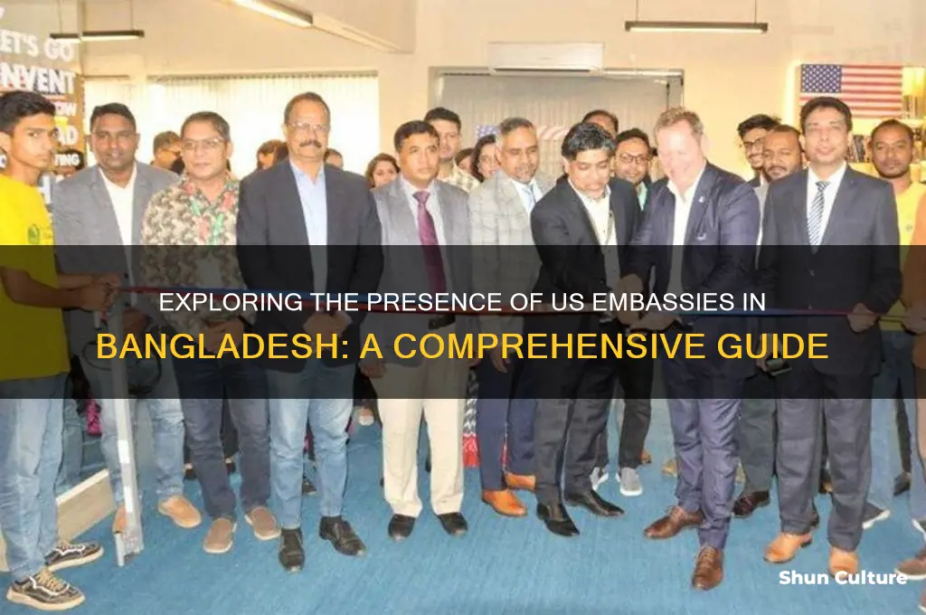 how many us embassy in bangladesh