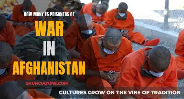 The Unaccounted Cost of War: Examining the Plight of US Prisoners in Afghanistan