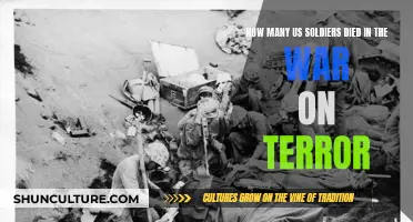 The Human Cost of the War on Terror: Examining the Fallen