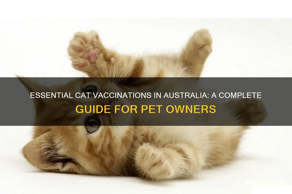 how many vaccinations do cats need australia